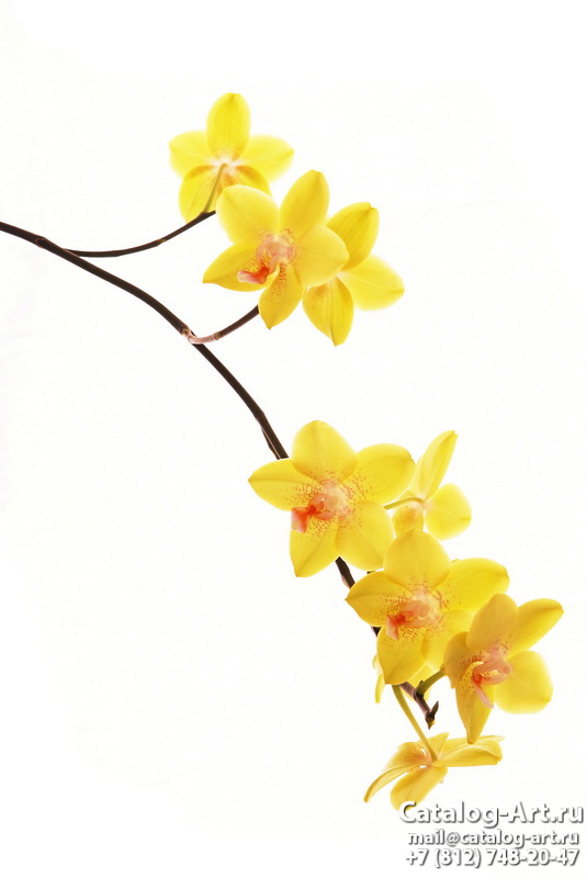 картинки для фотопечати на потолках, идеи, фото, образцы - Потолки с фотопечатью - Желтые и бежевые орхидеи 4